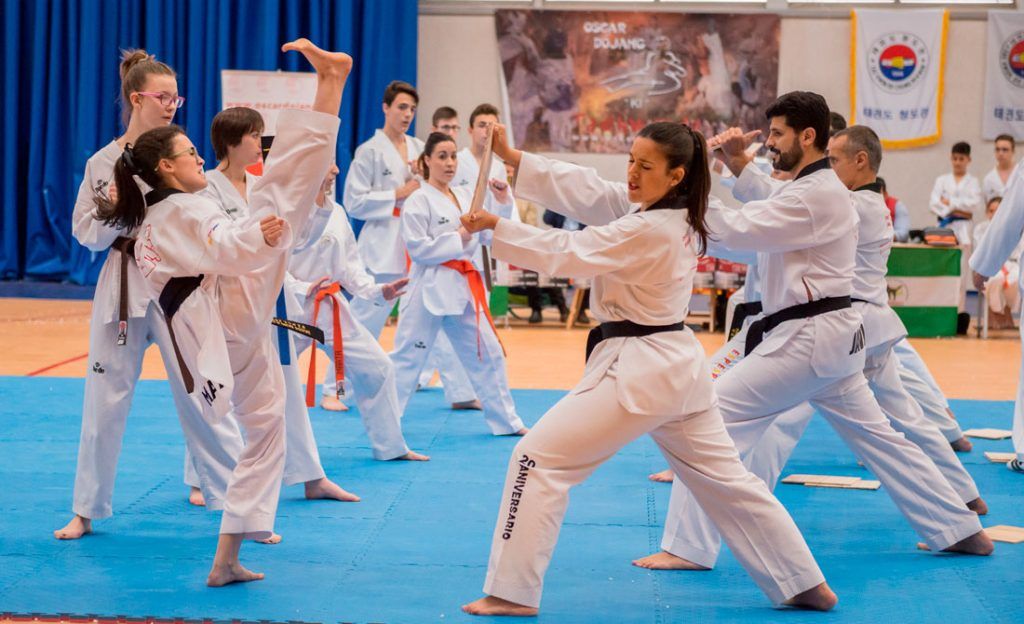 dojang taekwondo ver clase